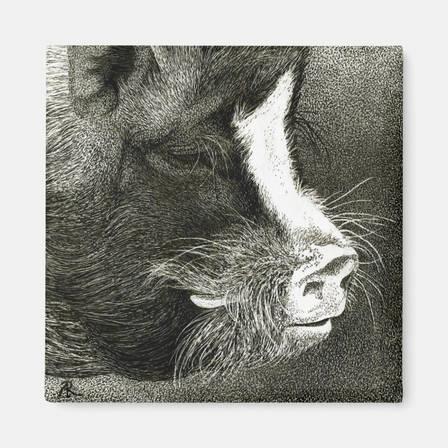 Pot-Bellied Pig Magnet (Front)