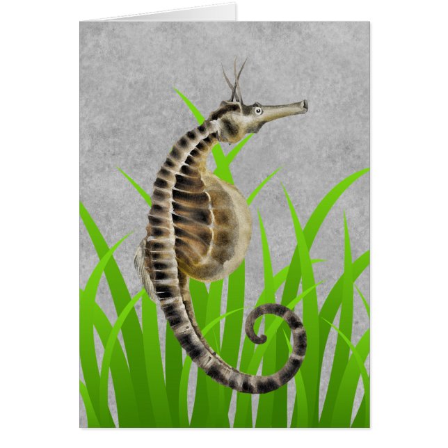 Pot Bellied Sea Horse Animal Print Nautical Notes (Front)