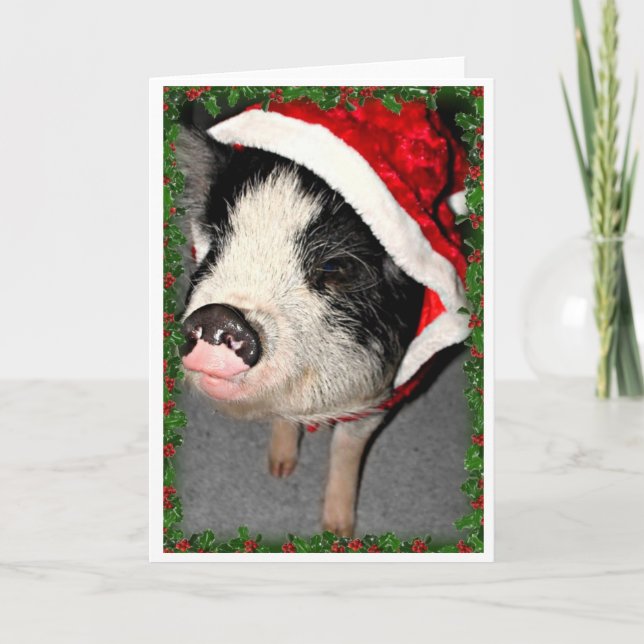 Pot Belly Pig Christmas Holiday Card (Front)