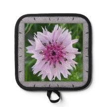 Pot Holder with Lovely Pink Nigella