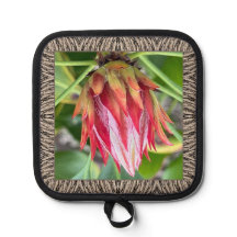 Pot Holder with Stunning Protea