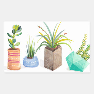 Pot of Succulents Rectangular Sticker