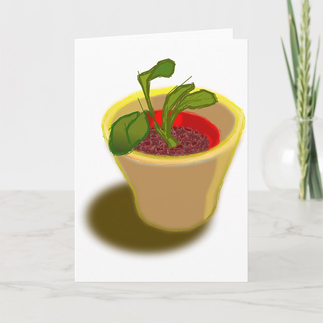 Pot Plant Greeting Cards (Creator Uploaded)