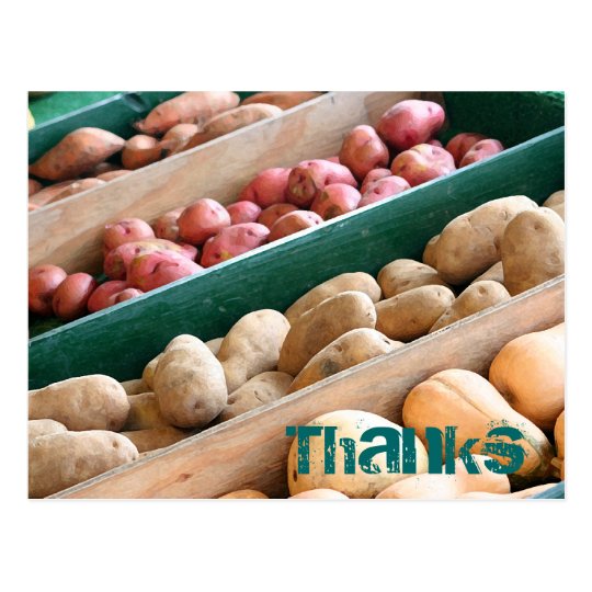 Potato Buds postcard