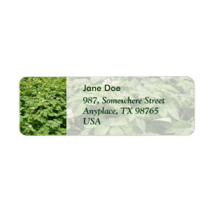 Potato field return address label