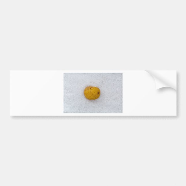 Potato macro as background with salt bumper sticker (Front)