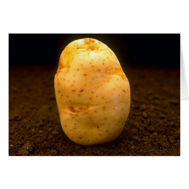 Potato on dirt (Front Horizontal)