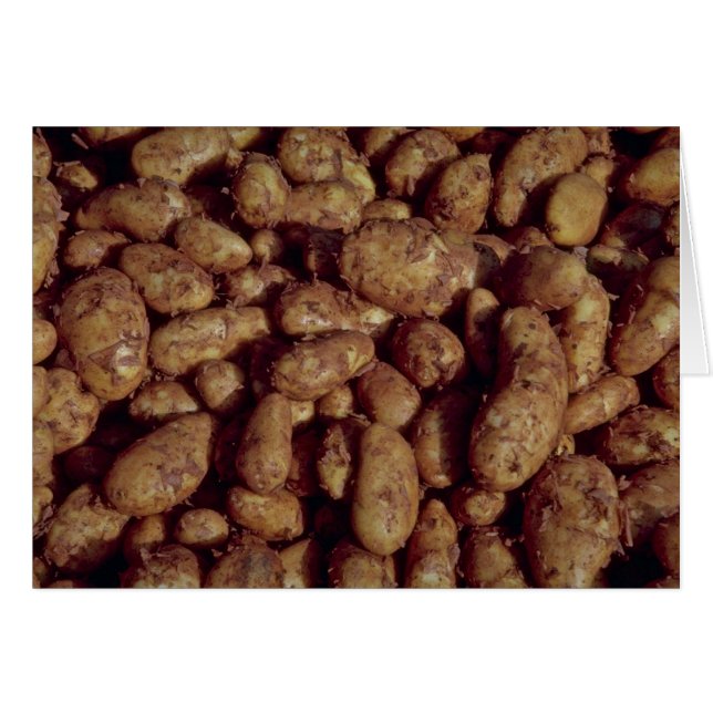 Potatoes (Front Horizontal)