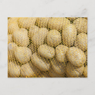 Potatoes Postcard