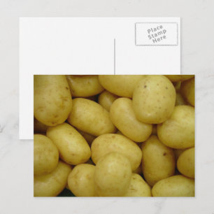 Potatoes Postcard