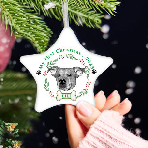 Potcake Dog Personalised Hand Drawing Ceramic Ornament
