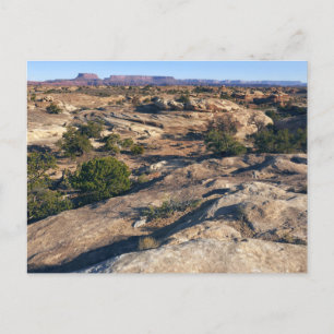 Pothole Point Trail at Canyonlands National Park Postcard