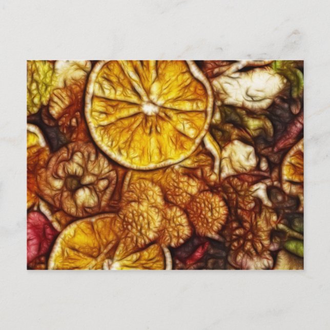 Potpourri Oranges Fractal Postcard (Front)