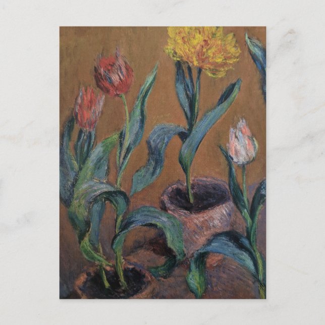 Pots of Tulips by Claude Monet Postcard (Front)
