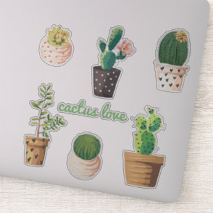 Potted Cactus Plant Set