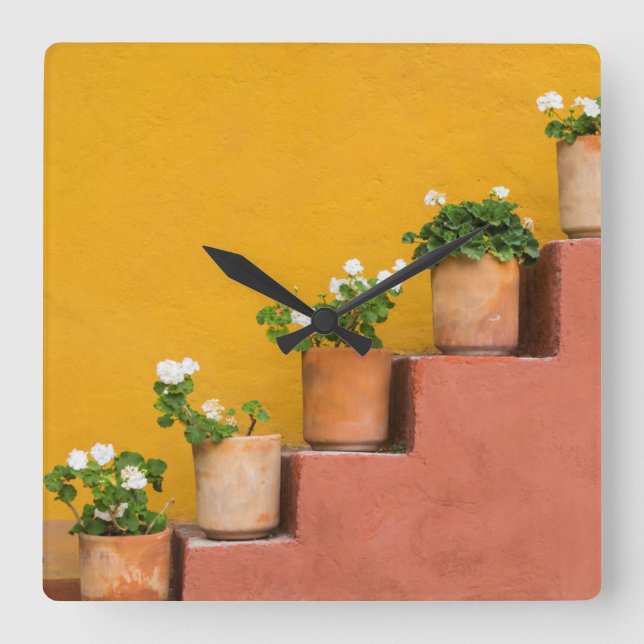 Potted flowers on staircase square wall clock (Front)