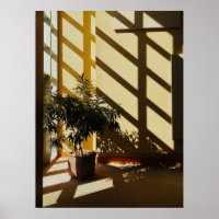 Potted green plant on brown wooden table
