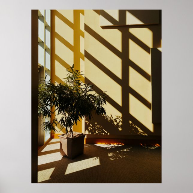 Potted green plant on brown wooden table poster (Front)
