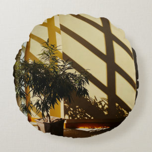 Potted green plant on brown wooden table round cushion