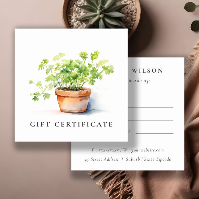 Potted Herb Parsley Coriander Gift Certificate (Creator Uploaded)