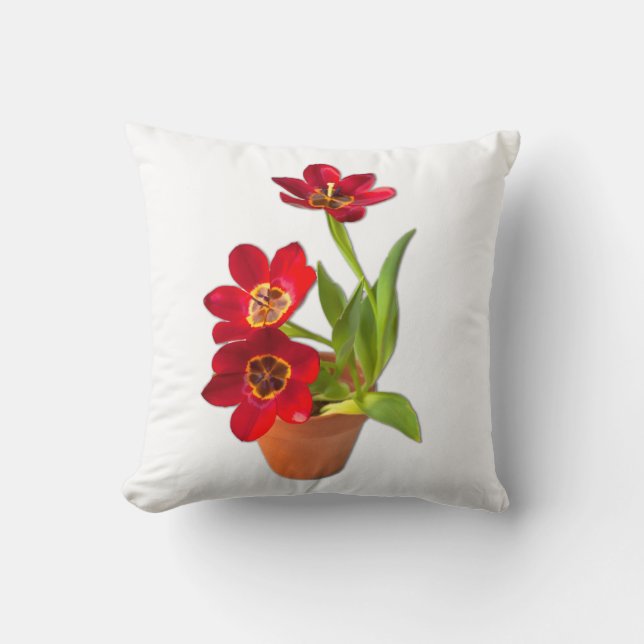 Potted Mature Red Tulips Photograph Cushion (Front)