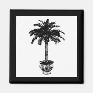 Potted Palm Tree - black and white Magnet