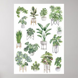 Potted Plant Collection 5 Poster