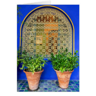 Potted Plants At Garden