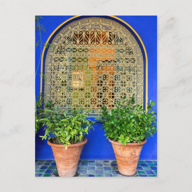 Potted Plants At Garden Postcard (Front)