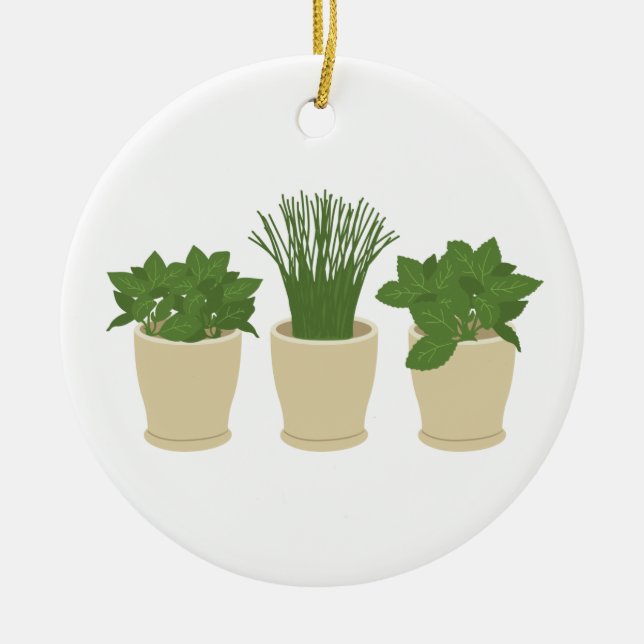 Potted Plants Ceramic Ornament (Front)