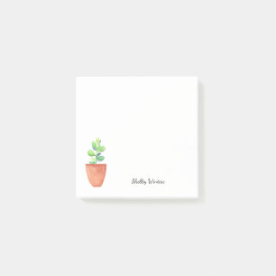 Potted succulent plant with name post-it notes