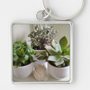 Potted Succulents with Seashell Key Ring