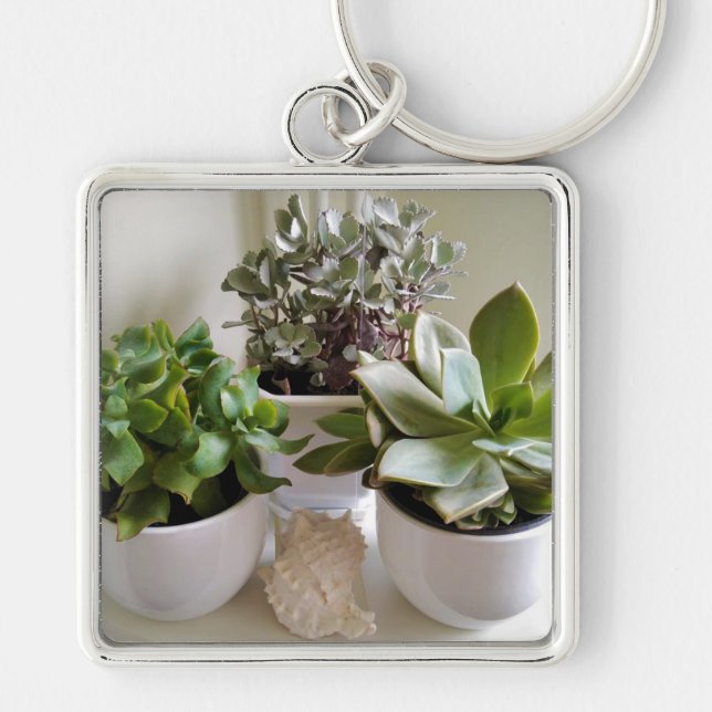 Potted Succulents with Seashell Key Ring (Front)