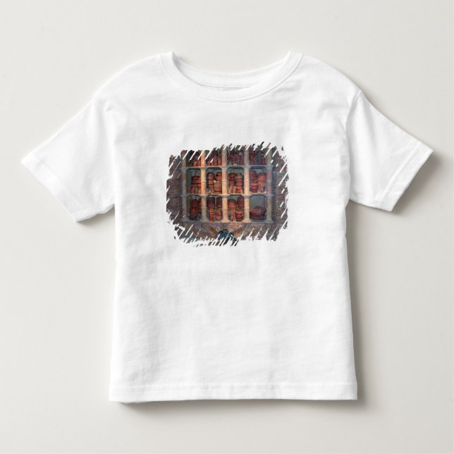 Pottery oven from Graufesenque, c.150 BC (photo) Toddler T-Shirt (Front)