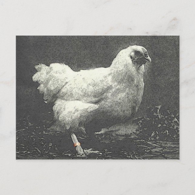 POULE POSTCARD (Front)