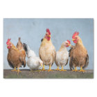 Poultry Chickens Farm 2 Decoupage Tissue Paper