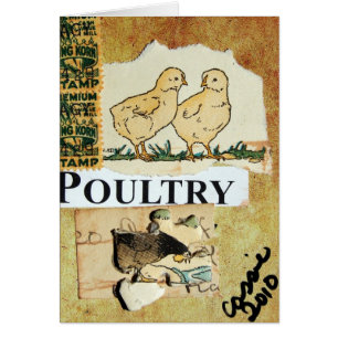 Poultry Collage Mixed Media Blank Inside