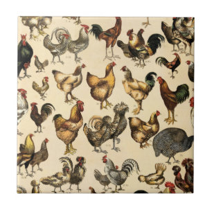 Poultry Farm Rooster and Hen Art Ceramic Tile