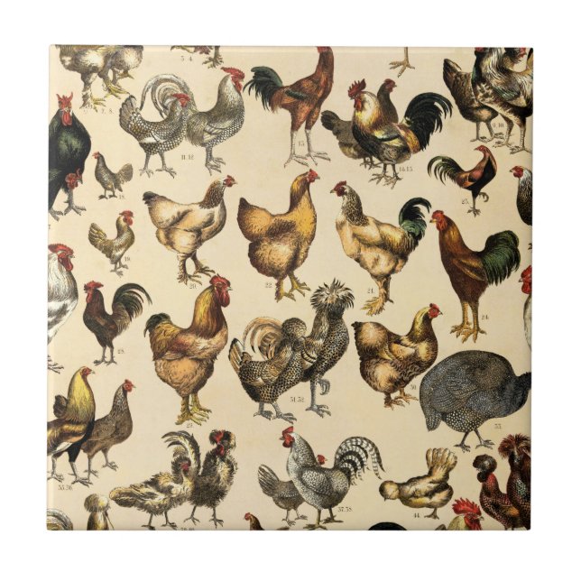 Poultry Farm Rooster and Hen Art Ceramic Tile (Front)