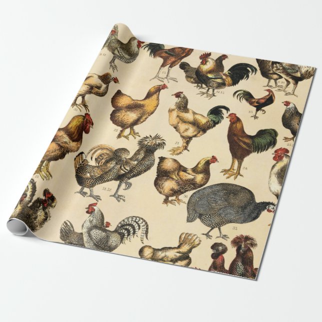Poultry Farm Rooster and Hen Art Wrapping Paper (Unrolled)