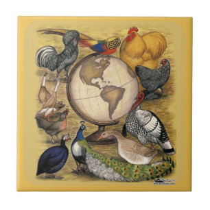 Poultry of the World Ceramic Tile
