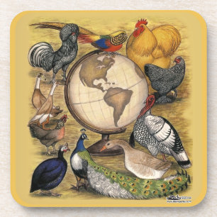Poultry of the World Coaster