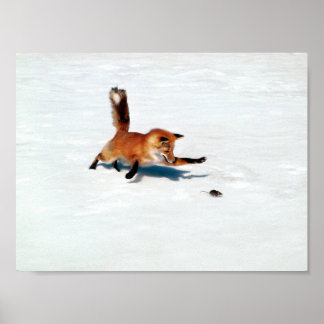 Pouncing Fox Poster