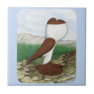 Pouter Pigeon Red Hana Tile