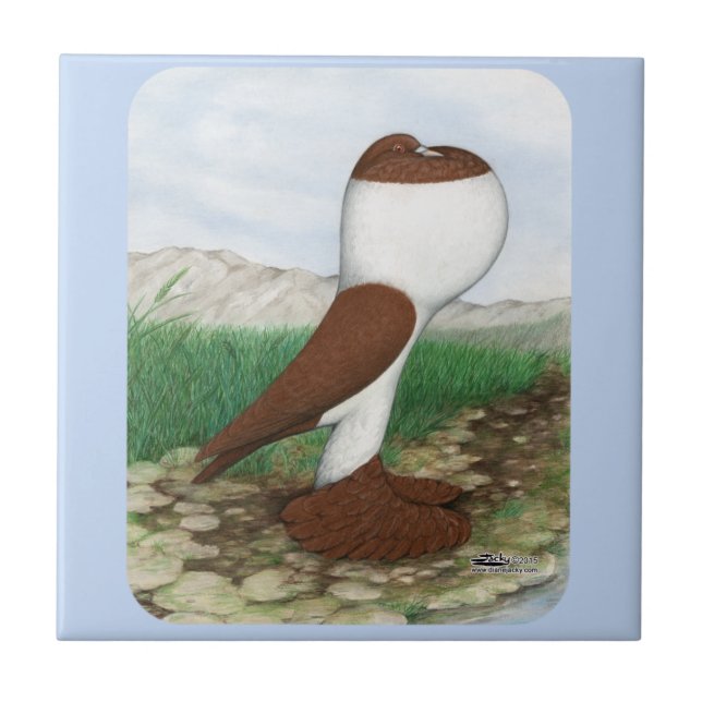 Pouter Pigeon Red Hana Tile (Front)