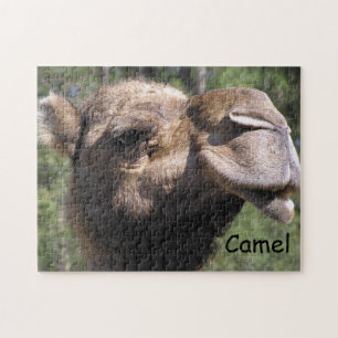 Pouting Camel Jigsaw Puzzle