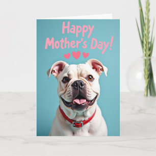 Powder Blue Bulldog Card