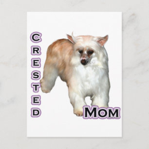 Powderpuff Crested Mum 4 Postcard