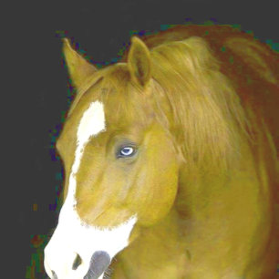 power-and-grace notebook