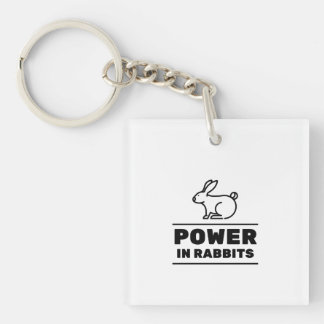 Power in rabbits key ring